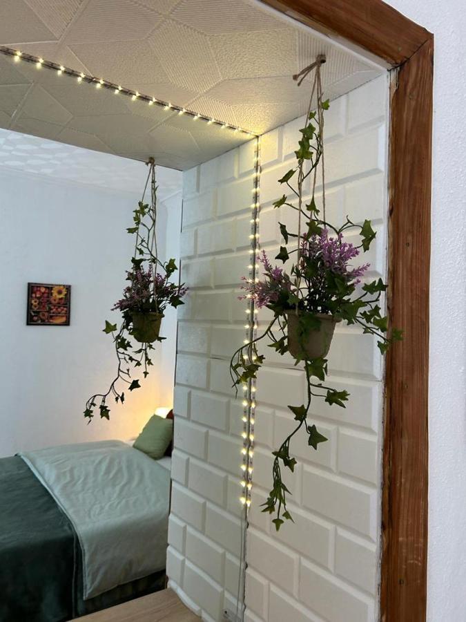 Guest House Rusu Brasov Bagian luar foto