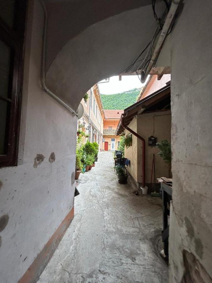 Guest House Rusu Brasov Bagian luar foto